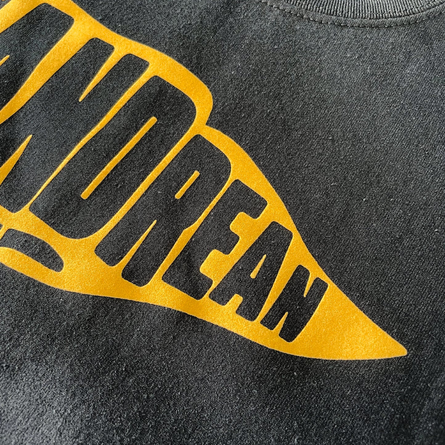 Andrean High School: Soft Flock Pennant Crewneck