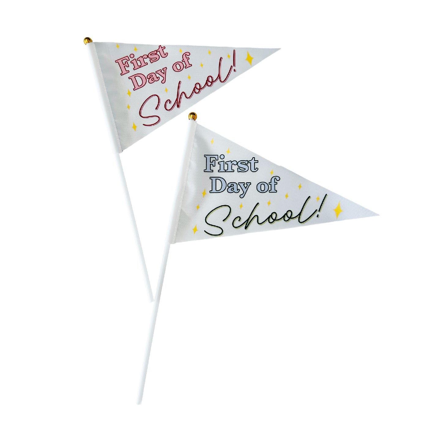 Back to School: Grade Pennant Flag