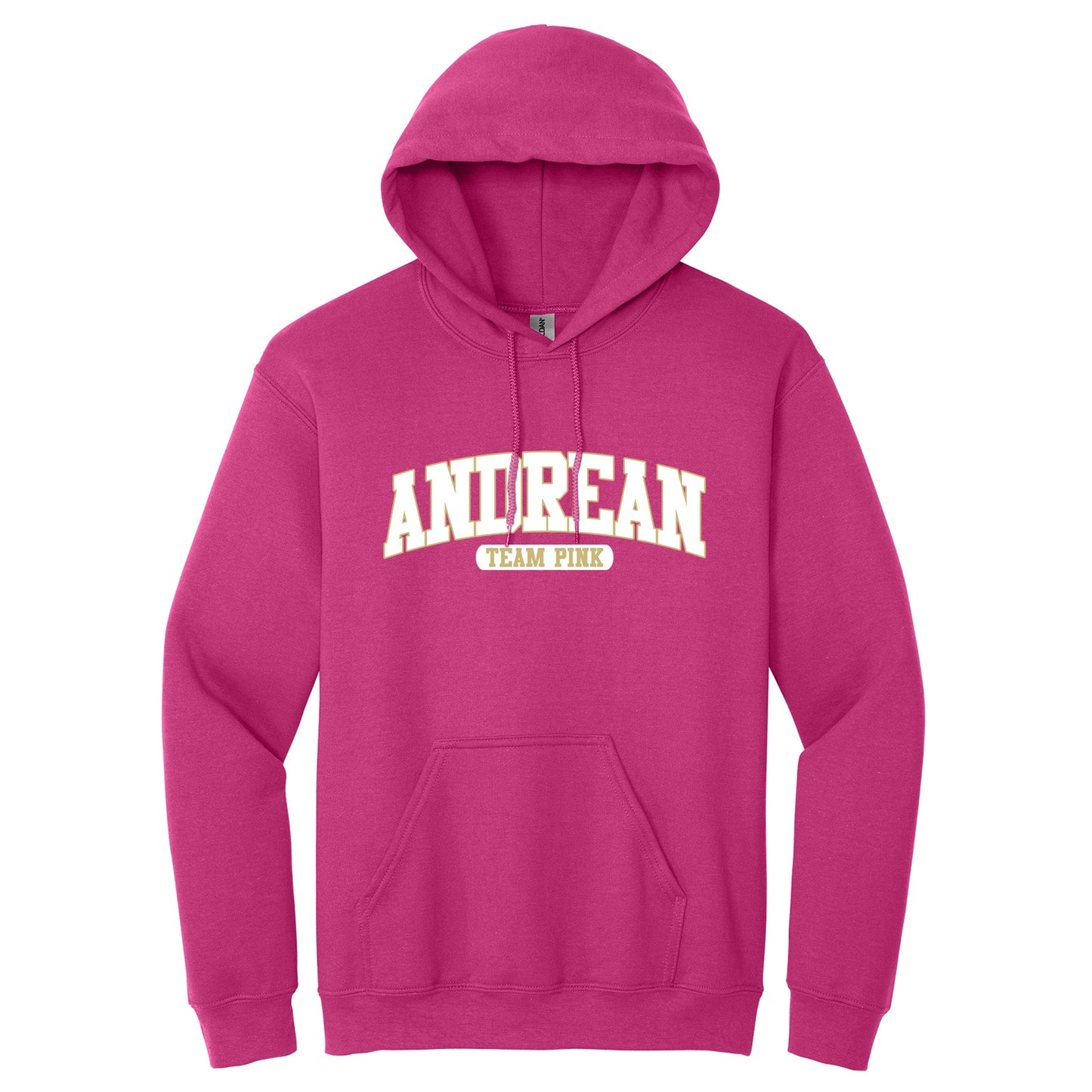 Andrean High School: Team Pink Hoodie