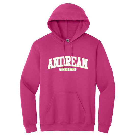 Andrean High School: Team Pink Hoodie