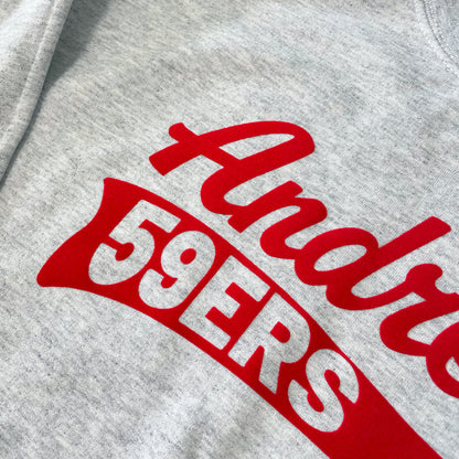 Andrean High School: Soft Flock Varsity Shirt
